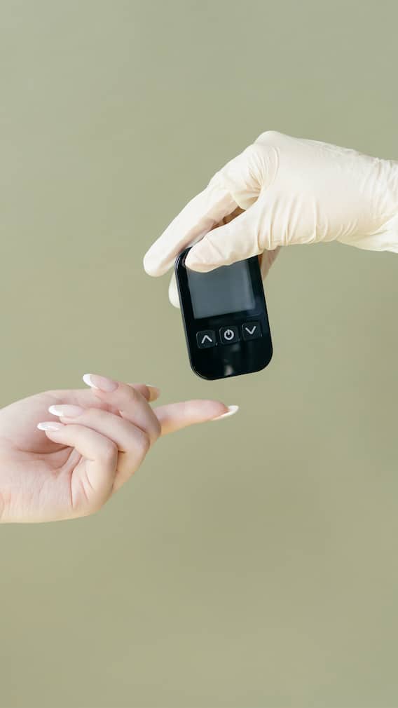 World Diabetes Day 2024: 9 Diabetic-Friendly Snack Ideas For Busy Lifestyles