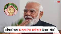 सोयाबीनला 6 हजारांचा हमीभाव देणार पंतप्रधान नरेंद्र मोदी यांचं आश्वासन!