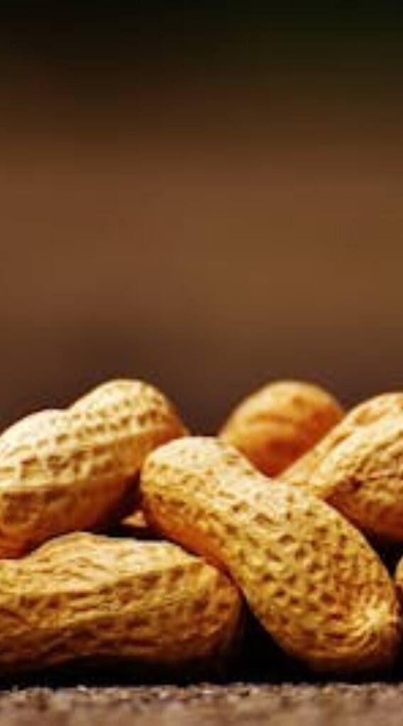 मूंगफली को क्यों कहा जाता है कच्चा बादाम?