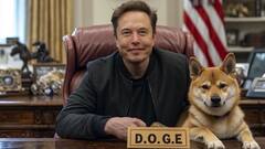 Elon Musk Wants You To Work 80 Hours Every Week Without Any Pay, Here's Why