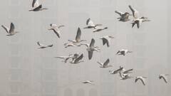 Weather Update: ঠান্ডায় জবুথবু পরিস্থিতি কবে থেকে বাংলায় ? কী জানাল আবহাওয়া দফতর