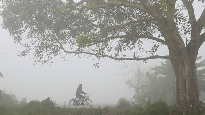 দার্জিলিংয়ে এই মুহূর্তে রাতের তাপমাত্রা ৭ ডিগ্রি সেলসিয়াসে। আগামী ৪৮ ঘণ্টায় আরও ৩ ডিগ্রি সেলসিয়াস মতো নামতে পারে পারদ।