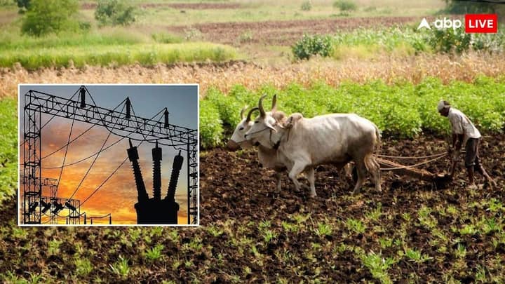 Free Electricity For Farmers: देश के इन राज्यों में रहने वाले किसानों को मिलता है फ्री बिजली योजना का लाभ. पता करें इस लिस्ट में आपका राज्य शामिल है या नहीं.