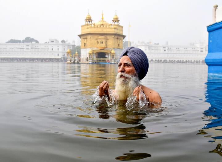 A Sikh devotee takes a holy dip in the 'sarovar' at the Golden Temple on the occasion of the birth anniversary of Guru Nanak Dev, in Amritsar, Friday, Nov. 15, 2024. (PTI Photo)