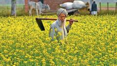 इन राज्यों में किसानों को मिलती है मुफ्त बिजली की सुविधा, क्या आप भी उठा रहे हैं लाभ?