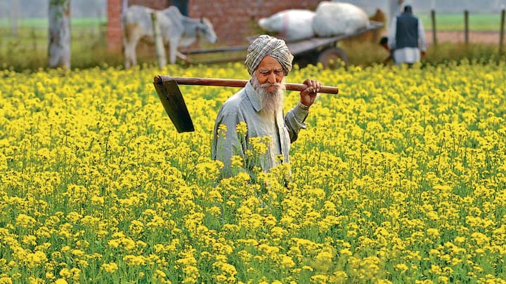 पंजाब के किसानों को प्रदेश सरकार की ओर फ्री बिजली का लाभ दिया है. पंजाब की भगवंत मान सरकार ने इसी साल से किसानों को फ्री बिजली देने का ऐलान किया है पंजाब में किसानों को हर दिन सरकार 8 घंटे 3 बिजली देती है.