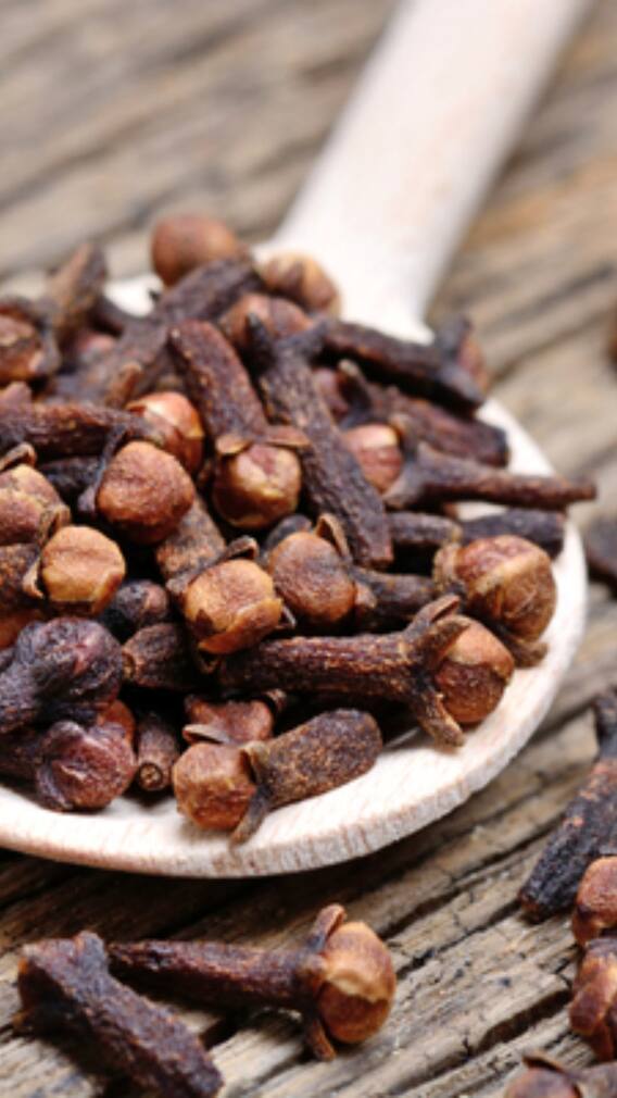 यूपी के इन जिलों में होती है सबसे अधिक लौंग की खेती, जानें पौधे की ऊंचाई