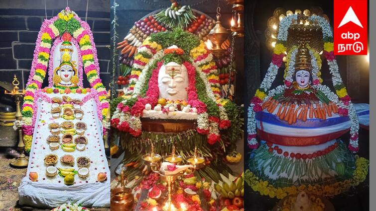 Annabhishekam 2024 Shiva decorated with swans and vegetables at Villupuram mailam 'காண கண்கோடி வேண்டும்' ..... அன்னம், காய்கறி பழங்களால் அலங்கரிக்கப்பட்ட சிவலிங்கம்
