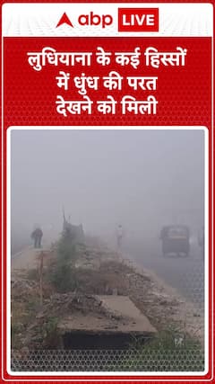 Thick Fog Blankets Parts of Ludhiana, Reducing Visibility Across the City