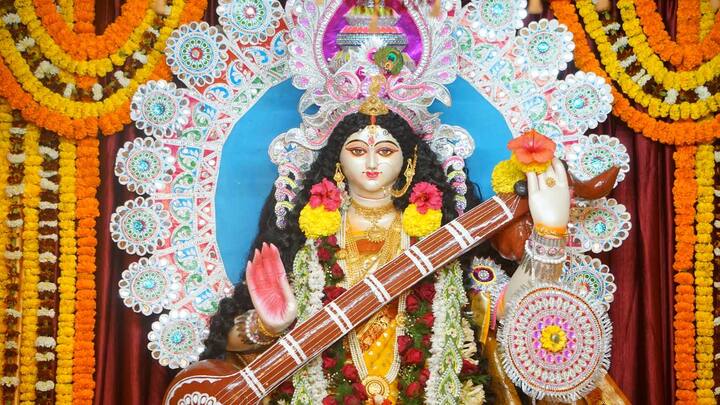 দেবী সরস্বতী পবিত্রতার মূর্তি। আর অন্যদিকে, তিনি জ্ঞানদান করেন বলে তিনি আবার ‘জ্ঞানদায়িনী’ও। জ্ঞানের অধিষ্ঠাত্রী দেবী সরস্বতীর বাহন রাজহংস।