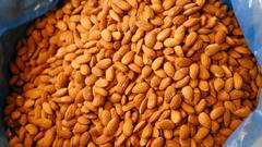 Almonds: तुमच्या रोजच्या सकाळची सुरुवात करा भिजवलेल्या बदामाने, हे फायदे जाणून तुम्हाला आश्चर्य वाटेल!