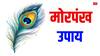 Vastu Tips: घर में इन जगहों पर रखें मोरपंख, आएगी खुशहाली, परिवार होगा संपन्न