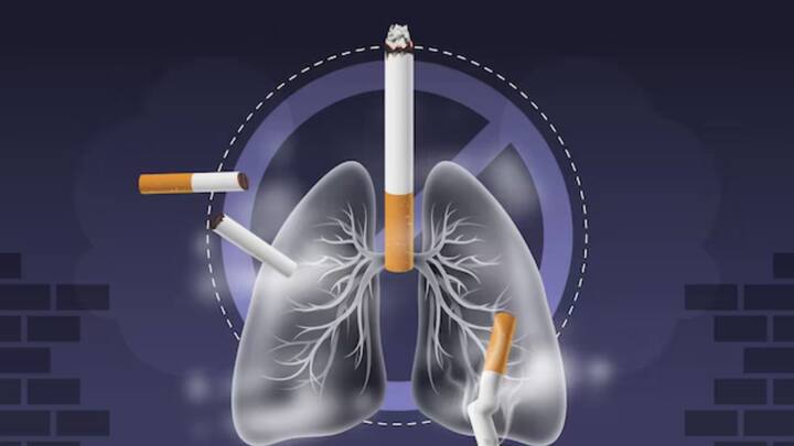 তাই যত দ্রুত ধূমপানের অভ্যাস ছাড়তে পারেন, ততই মঙ্গল। রাস্তা কঠিন হলেও, ধূমপানের অভ্যাস ত্যাগ করলে আপনার শরীর আপনাকে ধন্যবাদ জানাবে।                                                                      ডিসক্লেইমার : কপিতে উল্লেখিত দাবি, পদ্ধতি পরামর্শস্বরূপ। প্রয়োজনীয় চিকিৎসাপদ্ধতি/ডায়েট ফলো করার জন্য অবশ্যই বিশেষজ্ঞ / চিকিৎসকের সঙ্গে কথা বলুন ও সেইমতো নিয়ম মেনে চলুন।