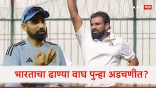 mohammed shami accused of age fraud after his driving licence photo goes viral on social media team india marathi news