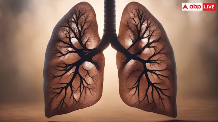 Symptoms of COPD: Persistent cough, excessive mucus production, wheezing, shortness of breath and chest tightness, severe difficulty breathing and frequent respiratory infections. Causes of COPD: COPD is mainly caused by long-term exposure to irritants that damage the lungs. This happens due to being in contact till.