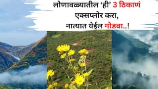 Winter Travel: पत्नी सोबतचे वाद मिटतील! फक्त लोणावळ्यातील ही 3 ठिकाणं एक्सप्लोर करा, नात्यात येईल गोडवा