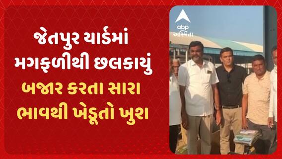 Rajkot News: જેતપુર યાર્ડમાં મગફળીથી છલકાયું, બજાર કરતા સારા ભાવથી ખેડૂતો ખુશ