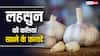 ठंड के मौसम में लहसुन रखेगा आपको फिट, कच्ची कलियां खाने से होंगे ये फायदे
