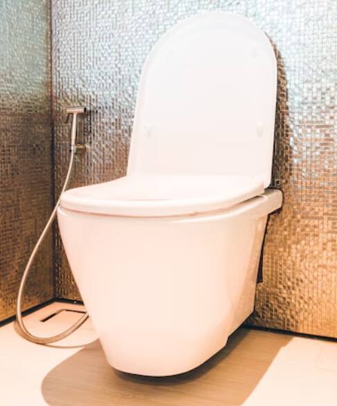 ਮਾਹਿਰਾਂ ਮੁਤਾਬਕ ਟਾਇਲਟ ਸੀਟ 'ਤੇ 10 ਮਿੰਟ ਤੋਂ ਜ਼ਿਆਦਾ ਬੈਠਣ ਨਾਲ ਕਈ ਗੰਭੀਰ ਸਿਹਤ ਸਮੱਸਿਆਵਾਂ ਹੋ ਸਕਦੀਆਂ ਹਨ। Texas Southwestern Medical Center ਦੇ ਕੋਲੋਰੈਕਟਲ ਸਰਜਨ ਡਾ: ਲਾਈ ਜ਼ੂ ਦਾ ਕਹਿਣਾ ਹੈ ਕਿ ਜ਼ਿਆਦਾ ਦੇਰ ਤੱਕ ਟਾਇਲਟ ਸੀਟ 'ਤੇ ਬੈਠਣ ਨਾਲ ਹੈਮੋਰੋਇਡਜ਼ ਅਤੇ ਕਮਜ਼ੋਰ ਪੇਲਵਿਕ ਮਾਸਪੇਸ਼ੀਆਂ ਦਾ ਖਤਰਾ ਵੱਧ ਜਾਂਦਾ ਹੈ।