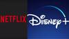 Netflix અને Disney+Hotstar જોવા માટે સમય નથી મળતો? તો આ રીતે તમારા પૈસા બચાવો