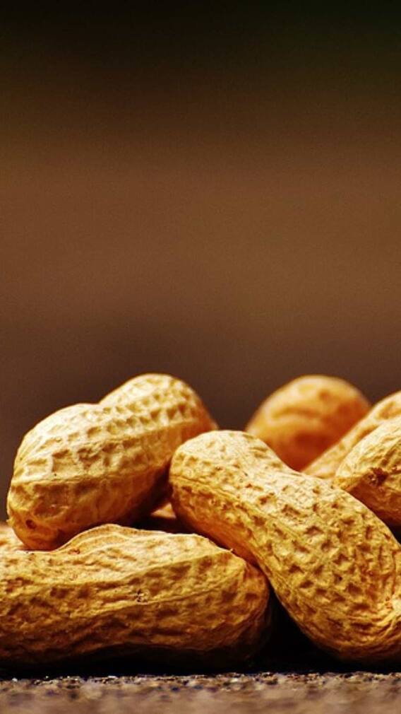 મગફળીમાં કયા વિટામિન્સ જોવા મળે છે?