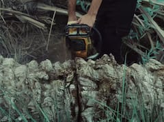 ਇੱਕ ਦਰੱਖਤ ਨੂੰ ਕੱਟਣ ਤੋਂ ਬਾਅਦ ਬਣਾਏ ਜਾ ਸਕਦੇ ਨੇ ਕਿੰਨੇ ਟਿਸ਼ੂ ਪੇਪਰ ?ਜਾਣੋ  ਜਵਾਬ