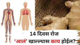 Health: 14 दिवस रोज आलं खाल्ल्यास काय होईल? आश्चर्यकारक फायदे पाहून थक्क व्हाल! तज्ज्ञांचा खुलासा