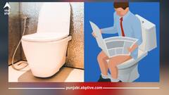 ਟਾਇਲਟ ਸੀਟ 'ਤੇ 10 ਮਿੰਟ ਤੋਂ ਜ਼ਿਆਦਾ ਬੈਠਣਾ ਨੁਕਸਾਨਦਾਇਕ, ਜਾਣੋ ਕੀ ਕਹਿੰਦੇ ਸਿਹਤ ਮਾਹਿਰ