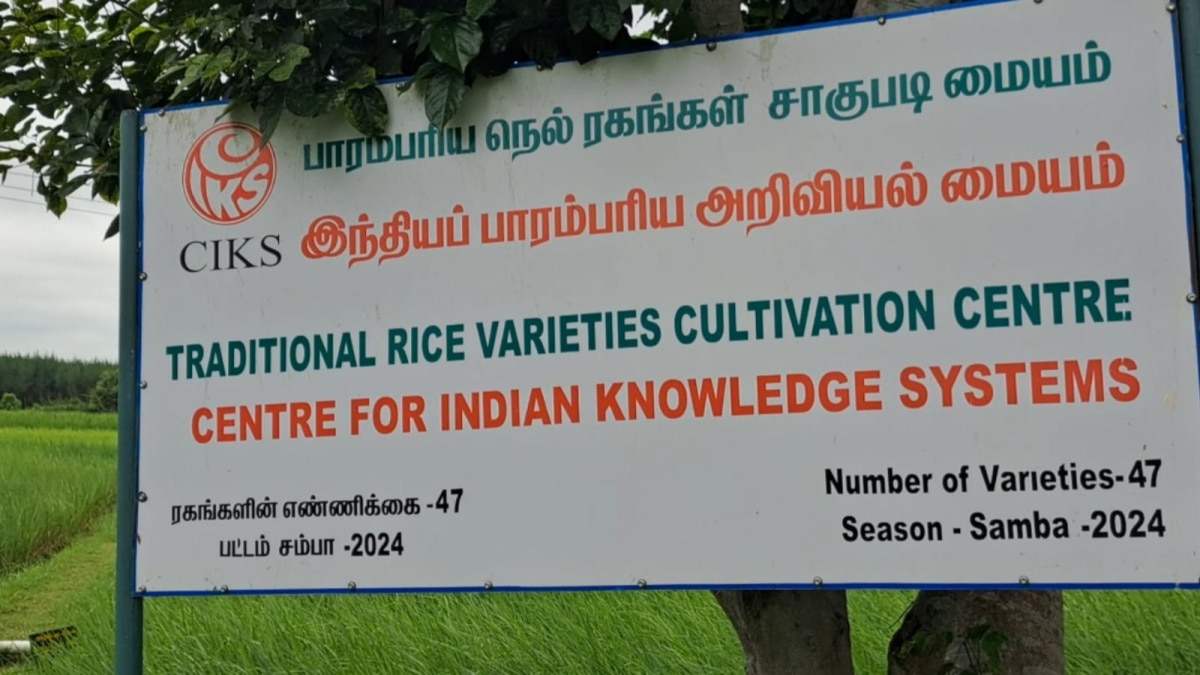 இவ்வளவு பாரம்பரிய நெல் வகைகளா ? கேட்டாலே ஆச்சரியம் தான்.. தமிழ்நாடு முழுவதும் விதை சப்ளை