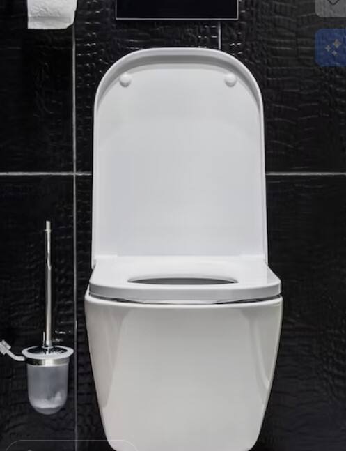 ਟਾਇਲਟ ਸੀਟ ਦਾ ਅੰਡਾਕਾਰ ਆਕਾਰ ਬੱਟ ਨੂੰ ਸੰਕੁਚਿਤ ਕਰਦਾ ਹੈ ਅਤੇ ਹੇਠਲੇ ਸਰੀਰ ਨੂੰ ਹੇਠਾਂ ਵੱਲ ਖਿੱਚਦਾ ਹੈ। ਇਸ ਕਾਰਨ ਖੂਨ ਦਾ ਸੰਚਾਰ ਪ੍ਰਭਾਵਿਤ ਹੋ ਜਾਂਦਾ ਹੈ, ਜਿਸ ਨਾਲ ਬਵਾਸੀਰ ਵਰਗੀ ਸਮੱਸਿਆ ਹੋ ਸਕਦੀ ਹੈ।