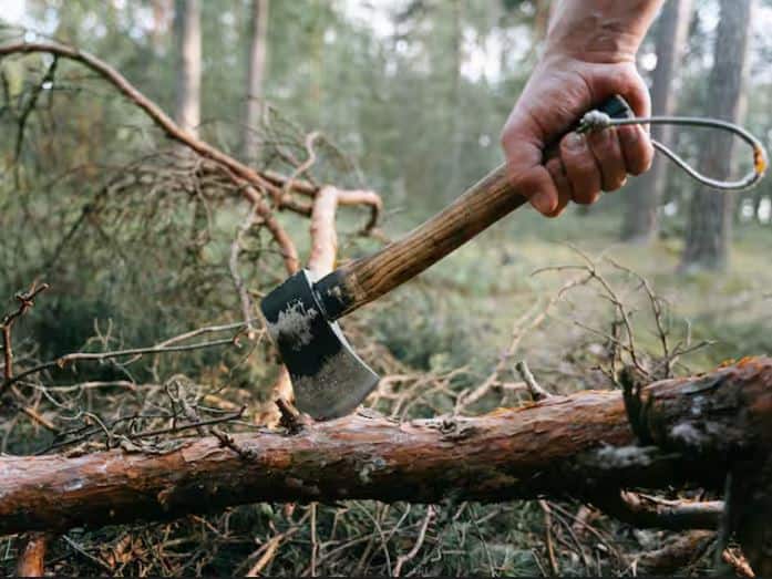 ਅਸੀਂ ਸਾਰੇ ਟਿਸ਼ੂ ਪੇਪਰ ਦੀ ਵਰਤੋਂ ਕਰਦੇ ਹਾਂ, ਪਰ ਸਾਨੂੰ ਇਸ ਦੀ ਵਰਤੋਂ ਜ਼ਿੰਮੇਵਾਰੀ ਨਾਲ ਕਰਨੀ ਚਾਹੀਦੀ ਹੈ। ਕੁਝ ਤਰੀਕਿਆਂ ਨਾਲ ਅਸੀਂ ਟਿਸ਼ੂ ਪੇਪਰ ਦੀ ਵਰਤੋਂ ਨੂੰ ਘੱਟ ਕਰ ਸਕਦੇ ਹਾਂ, ਸਿਰਫ ਲੋੜ ਪੈਣ 'ਤੇ ਟਿਸ਼ੂ ਪੇਪਰ ਦੀ ਵਰਤੋਂ ਕਰਨਾ।