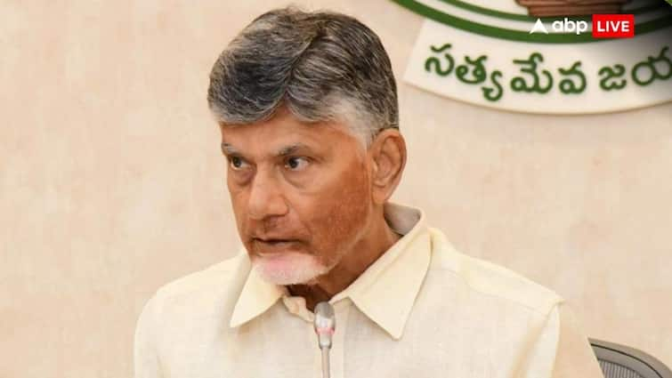 'Language Not For Hating, Learn As Many As Possible': Chandrababu Naidu Says Amid Language Row