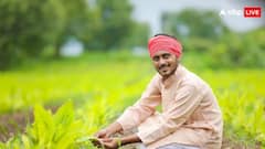 क्या बिना शादी वाले युवा किसानों को भी मिलता है पीएम किसान योजना का लाभ? ये हैं नियम