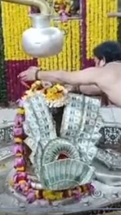 ट्रंप की जीत पर प्रशंसक ने महाकाल को चढ़ाई डॉलर वाली माला | ABP Shorts