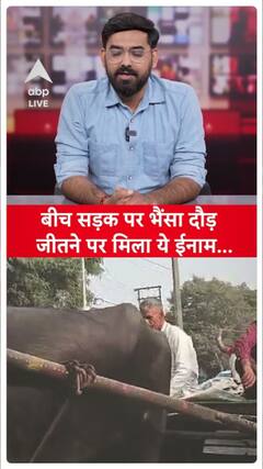 Buffalo Race Held on Meerut Streets: Find Out the Prize for the Winner