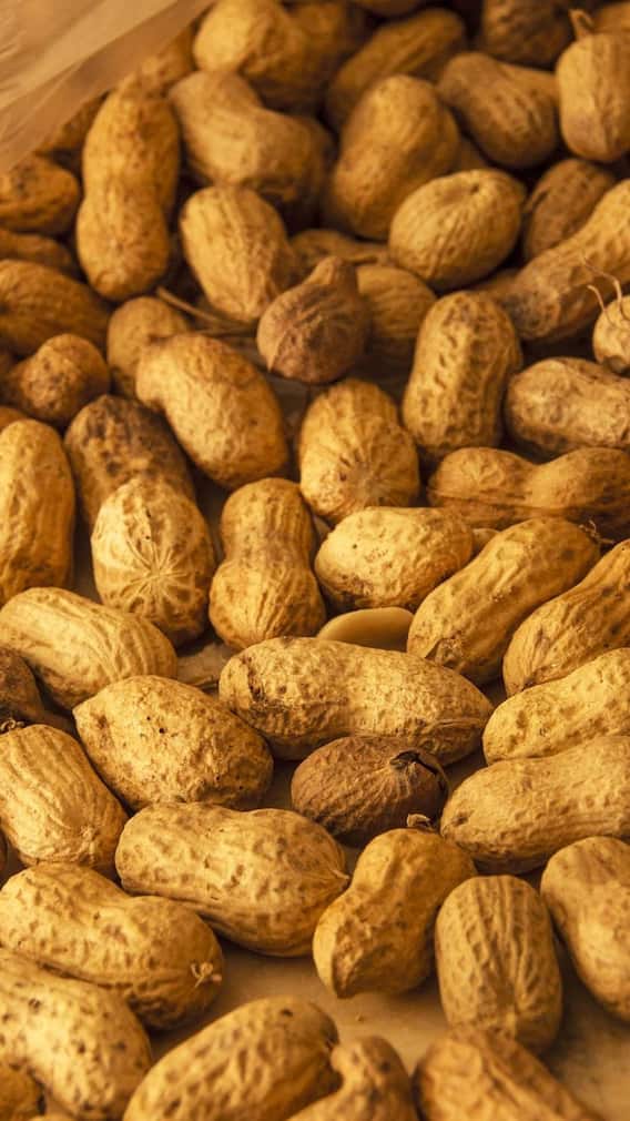 அடடா.. ஒரு நாளைக்கு ஒரு கைப்பிடி வேர்க்கடலை சாப்பிட்டா இவ்வளவு நன்மைகளா.?!