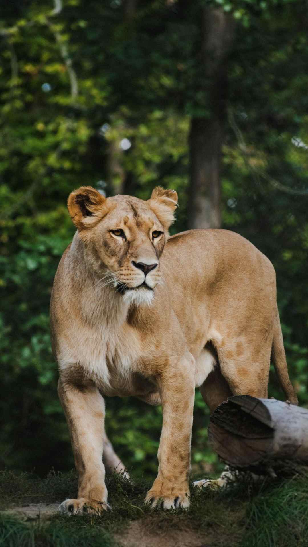 कैसे कर सकते हैं