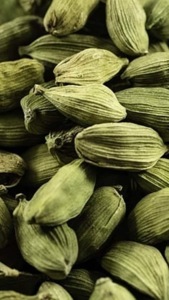 मुंह में इलाइची रखकर क्यों सोते हैं लोग? गजब के हैं फायदे