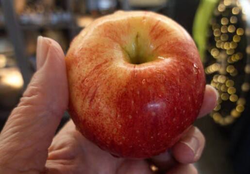 સફરજન સ્વાસ્થ્ય માટે ખૂબ જ ફાયદાકારક ફળ માનવામાં આવે છે. તેમાં રહેલા પોષક તત્વો શરીરને અનેક પ્રકારની બીમારીઓથી બચાવવામાં મદદ કરે છે. ડૉક્ટરો પણ દરરોજ એક સફરજન ખાવાની સલાહ આપે છે. ખાસ કરીને સવારે ખાલી પેટ સફરજન ખાવું શરીર માટે અત્યંત ફાયદાકારક માનવામાં આવે છે. સફરજનમાં પ્રોટીન, આયર્ન, ફાઈબર, કેલ્શિયમ, પોટેશિયમ અને એન્ટીઓક્સીડેન્ટ ભરપૂર માત્રામાં જોવા મળે છે. આ તમામ તત્વો શરીરને સ્વસ્થ રાખવા માટે જરૂરી છે. ચાલો જાણીએ કે સવારે ખાલી પેટ સફરજન ખાવાથી શું ફાયદા થાય છે.