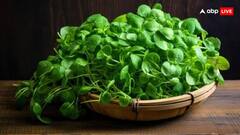 एनर्जी का पावरहाउस है ये सब्जी, कम कर देती है इन खौफनाक बीमारियों का खतरा