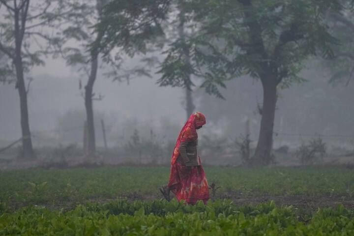 A woman walks by during smog on a winter morning, in New Delhi, Sunday, Nov. 17, 2024. (Source: PTI)