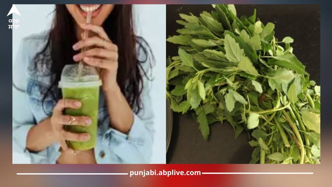 31 ਦਿਨਾਂ ਤੱਕ ਬਾਥੂ ਦਾ ਪਾਣੀ ਪੀਣ ਨਾਲ ਸਰੀਰ ਨੂੰ ਮਿਲਣਗੇ ਕਈ ਫਾਇਦੇ! ਜਾਣੋ ਤਿਆਰ ਕਰਨ ਦਾ ਸਹੀ ਤਰੀਕਾ Drinking bathua water for 31 days will give many benefits to body! Know right way to prepare 31 ਦਿਨਾਂ ਤੱਕ ਬਾਥੂ ਦਾ ਪਾਣੀ ਪੀਣ ਨਾਲ ਸਰੀਰ ਨੂੰ ਮਿਲਣਗੇ ਕਈ ਫਾਇਦੇ! ਜਾਣੋ ਤਿਆਰ ਕਰਨ ਦਾ ਸਹੀ ਤਰੀਕਾ