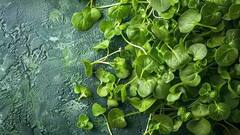 Health: એનર્જીનું પાવરહાઉસ છે આ શાકભાજી, ગંભીર બીમારીઓના ખતરાને પણ ટાળી દે છે