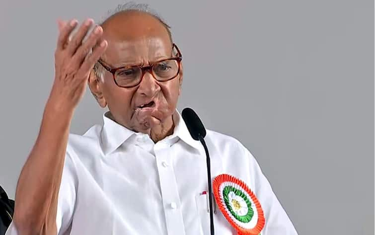 You've Shown Right Direction To Country: Sharad Pawar In Maharashtra Village That Sought Repoll