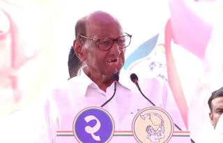 Maharashtra Assembly Election 2024 Sharad Pawar appeals to defeat those who have left the party with big votes in the assembly polls in Tembhurni madha solapur | साधंसुधं पाडायचं नाही, जोरात पाडायचं,