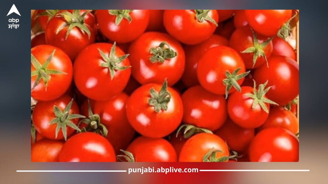 tomato latest rate fell by one fourth retail price reduced by 22 percent supply details inside ਟੈਨਸ਼ਨ ਨਾ ਲਓ, ਟਮਾਟਰ ਦੀਆਂ ਕੀਮਤਾਂ 'ਚ ਆਏਗੀ ਹੋਰ ਗਿਰਾਵਟ, ਮਹੀਨੇ 'ਚ 22 ਫੀਸਦੀ ਦੀ ਕਮੀ