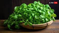 Health: એનર્જીનું પાવરહાઉસ છે આ શાકભાજી, ગંભીર બીમારીઓના ખતરાને પણ ટાળી દે છે