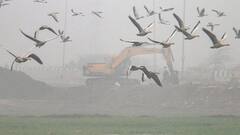 Weather Update: রাজ্যজুড়ে শীতের আমেজ, আগামীকাল কত তাপমাত্রা থাকতে পারে কলকাতায় ?