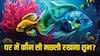 Vastu Tips: नकारात्मक शक्तियों से बचना है तो घर में जरूर रखें ये मछली