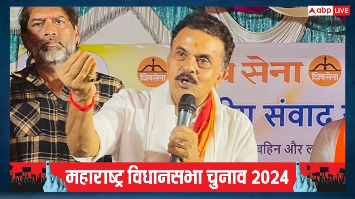 Maharashtra Election 2024: संजय निरुपम बोले, ‘राहुल गांधी विपक्ष हैं, निशाना साधना उनका काम लेकिन…’